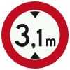 C19